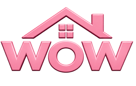 WOW Construction Group — Los Angeles